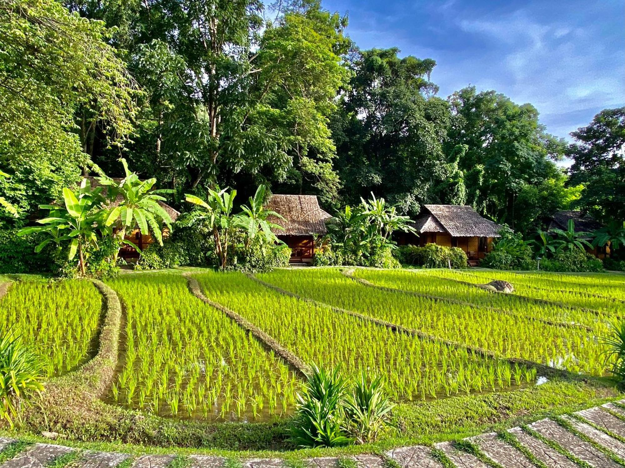 Fern Resort Mae Hong Son Ngoại thất bức ảnh