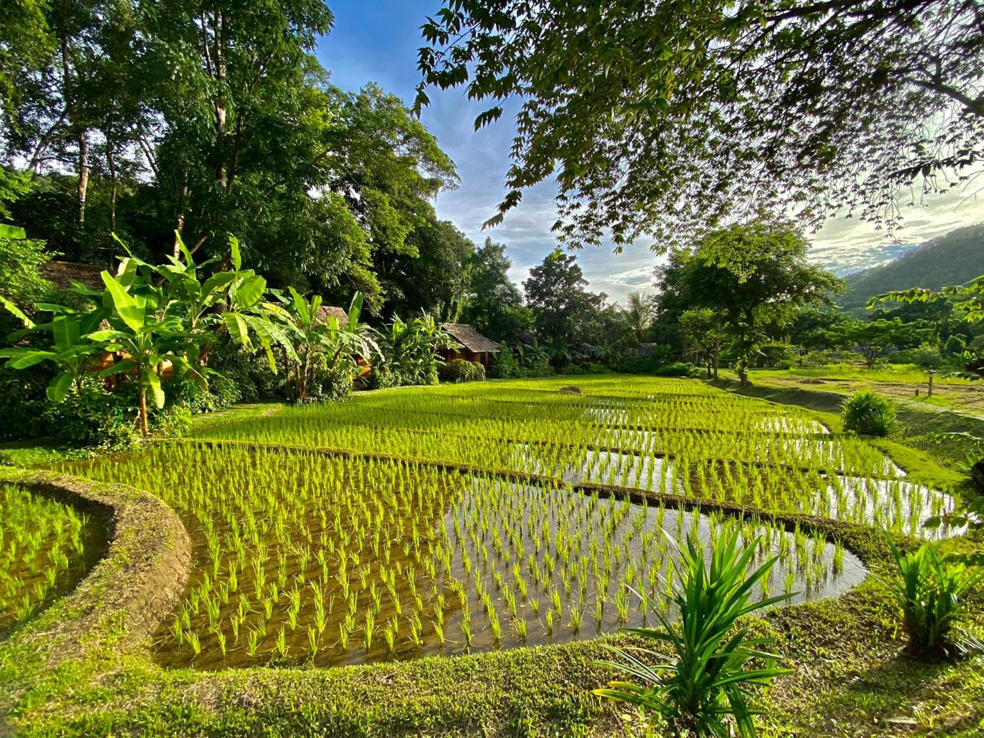 Fern Resort Mae Hong Son Ngoại thất bức ảnh