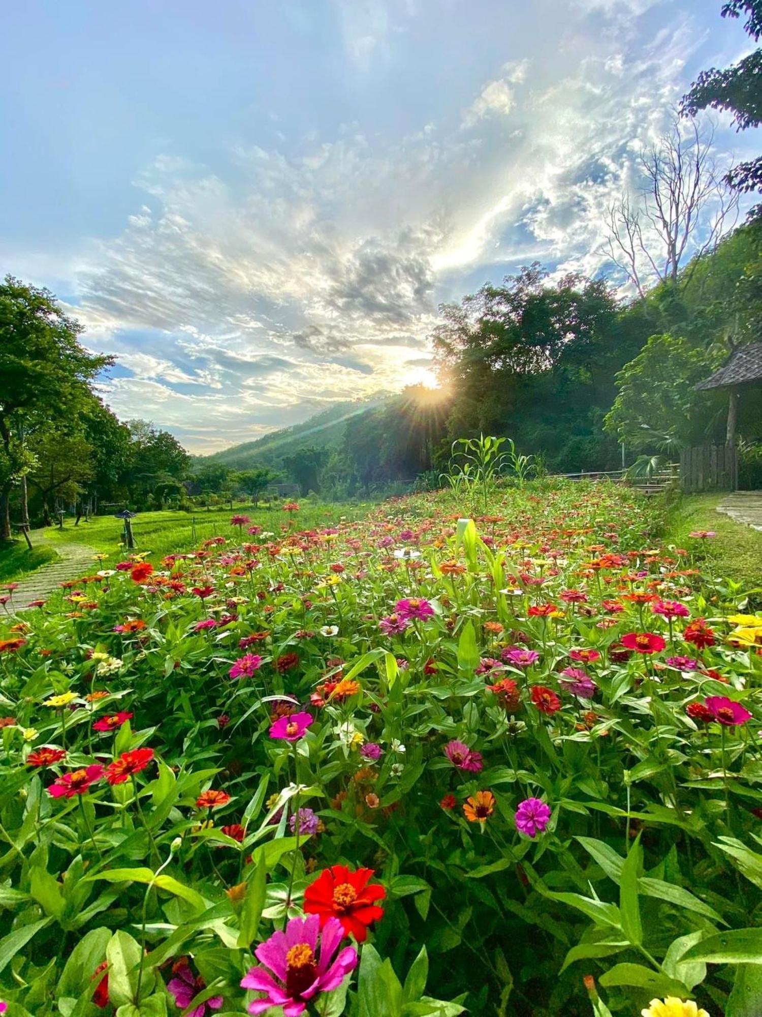 Fern Resort Mae Hong Son Ngoại thất bức ảnh