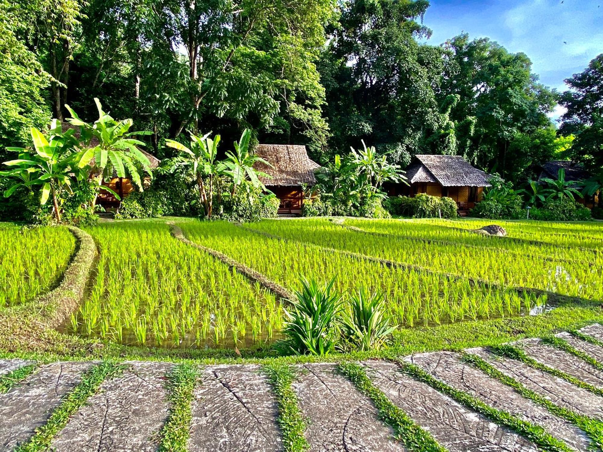 Fern Resort Mae Hong Son Ngoại thất bức ảnh