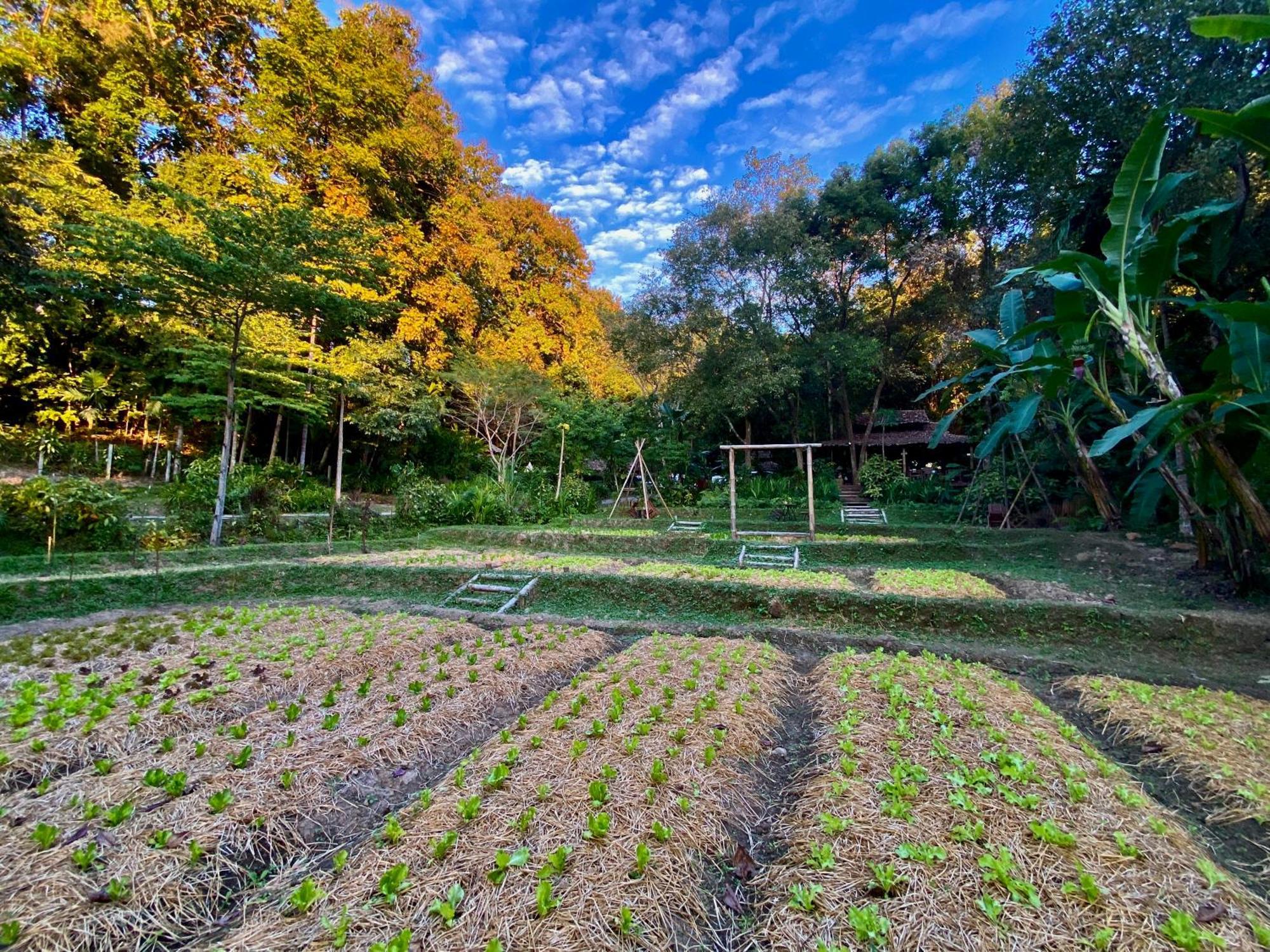 Fern Resort Mae Hong Son Ngoại thất bức ảnh